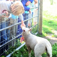 Boerderij Fortzicht Educatie