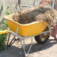 Boerderij Fortzicht