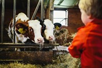 Buitenschoolse opvang MikMak Boerderij